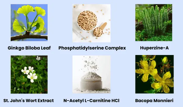 neuro sharp ingredients
